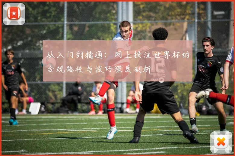从入门到精通:网上投注世界杯的合规路径与技巧深度剖析