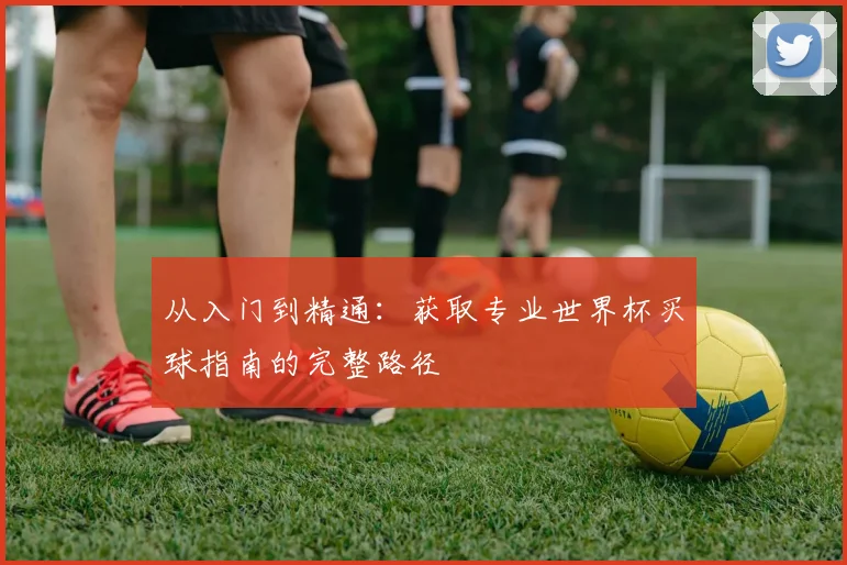 从入门到精通:获取专业世界杯买球指南的完整路径