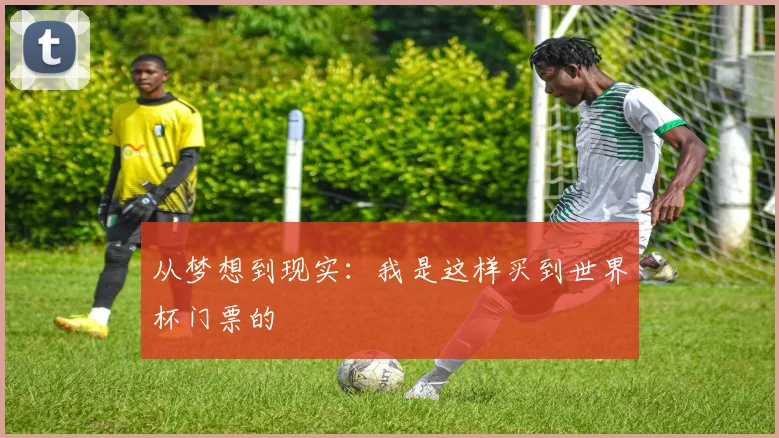 从梦想到现实:我是这样买到世界杯门票的