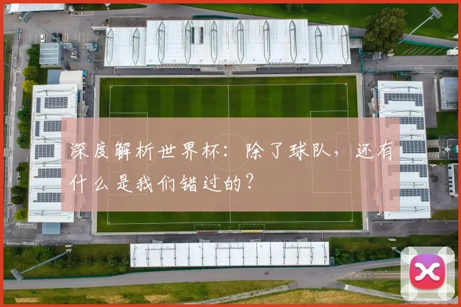 深度解析世界杯:除了球队,还有什么是我们错过的?