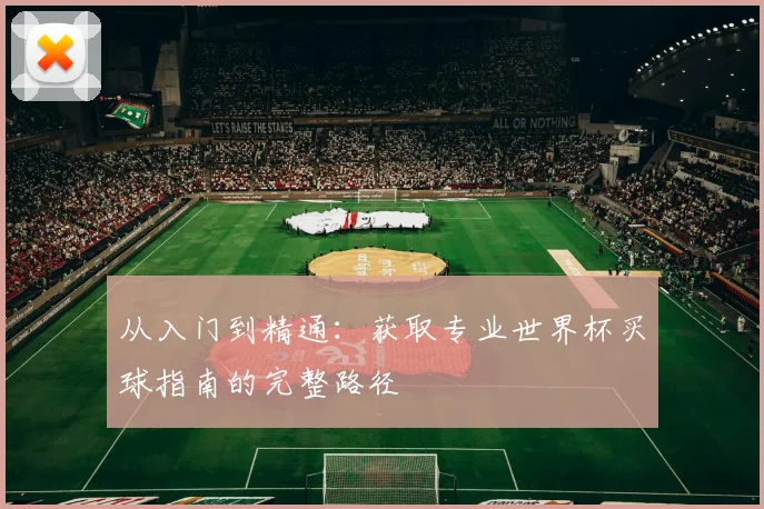 从入门到精通:获取专业世界杯买球指南的完整路径