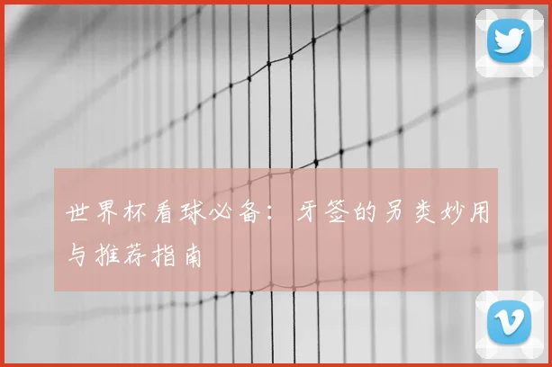 世界杯看球必备:牙签的另类妙用与推荐指南