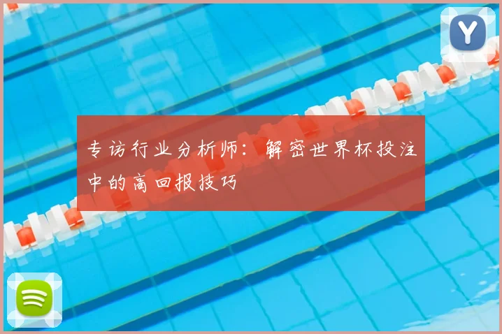 专访行业分析师:解密世界杯投注中的高回报技巧