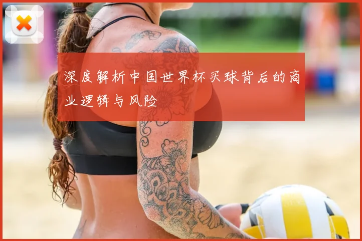 深度解析中国世界杯买球背后的商业逻辑与风险